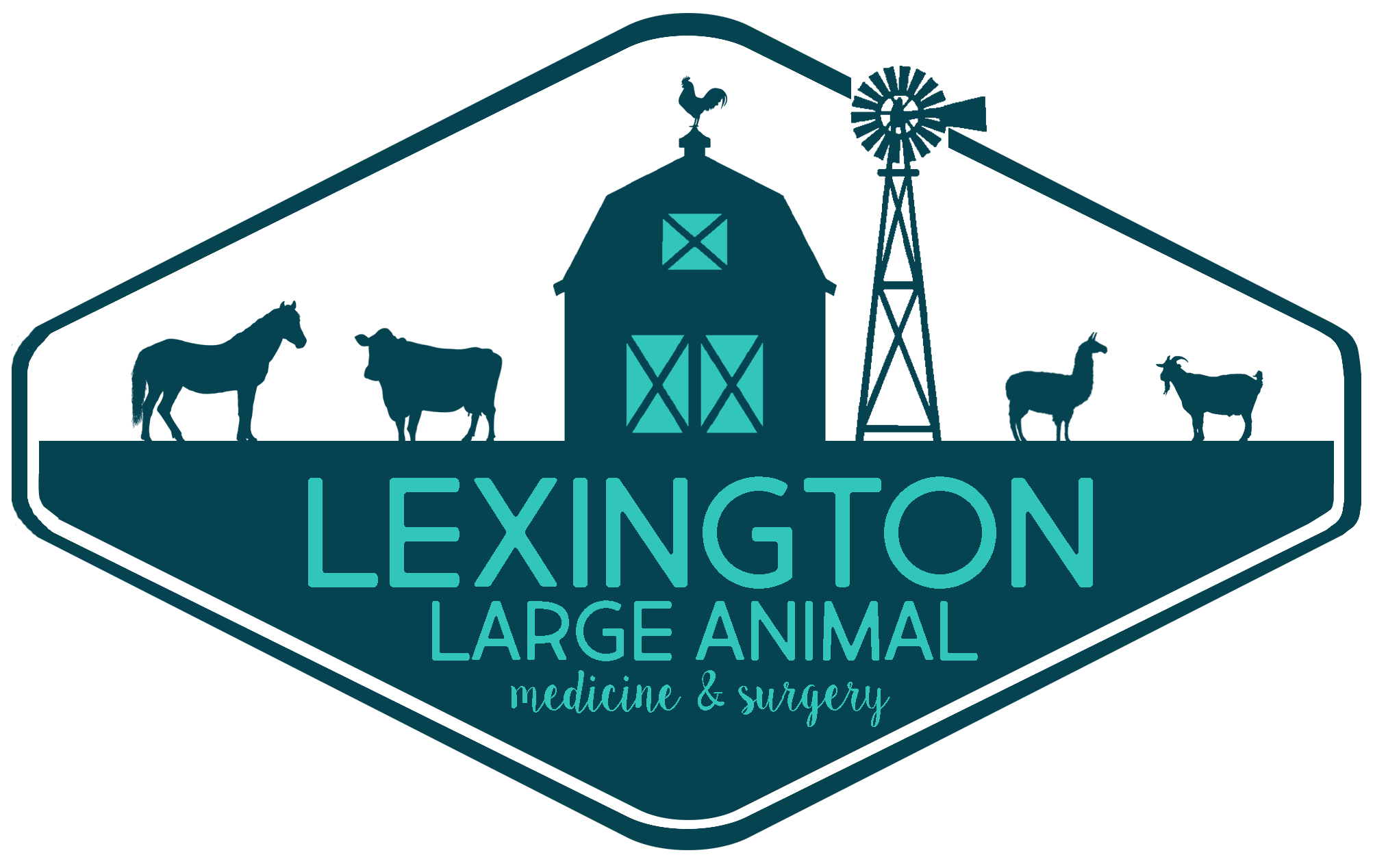 Lexington Large Animal Medicine Surgery In Lexington NC